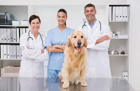 te1baa3i20xue1bb91ng